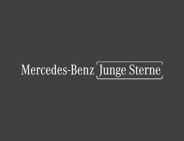Merbag Wiesbaden Junge Sterne Pkw Und Transporter Partner Vertragsstatus