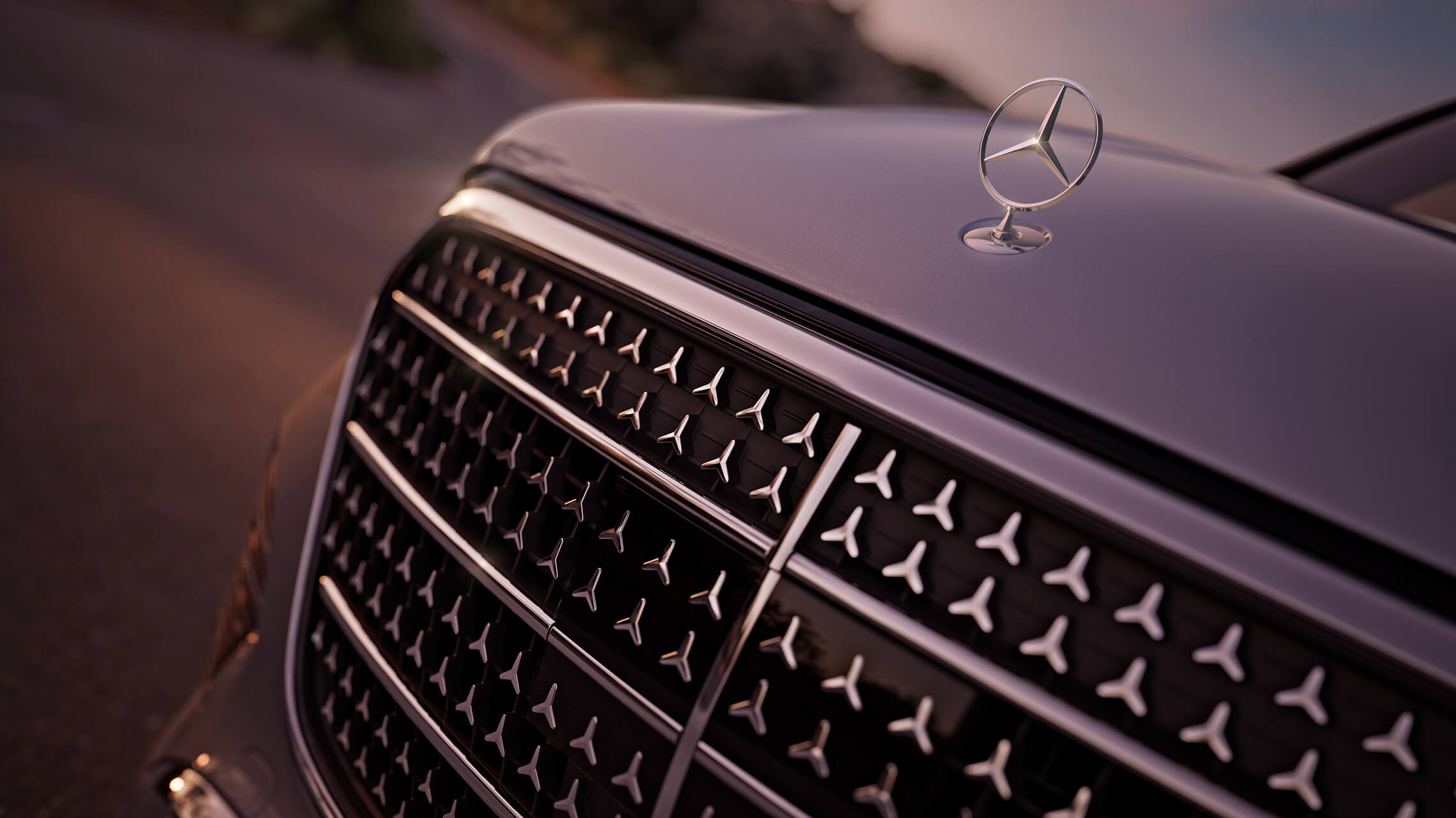 Mercedes-Benz GLS 09 - Merbag