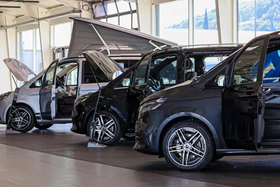 IMG 1682 Bearbeitet IMG 1682 Bearbeitet