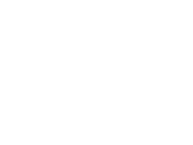 Logo Unimog Website