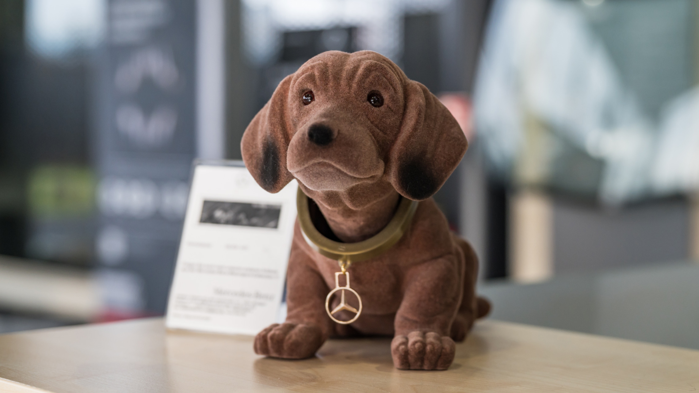 2025 11 Standort Mittewest Westerburg Galerie 4 2280Px