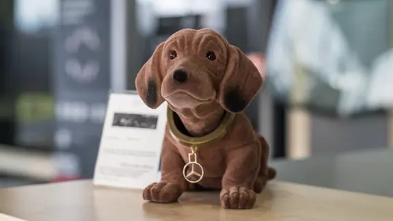 2025 11 Standort Mittewest Westerburg Galerie 4 2280Px 2025 11 Standort Mittewest Westerburg Galerie 4 2280Px